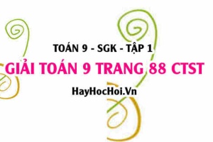 Giải Toán 9 trang 88 tập 1 Chân trời sáng tạo SGK